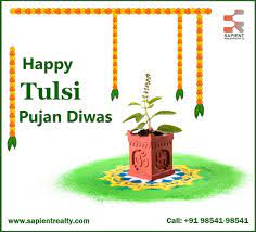 Tulsi Pujan Diwas: क्रिसमस पर लोग क्यों मनाते हैं तुलसी पूजन दिवस? जानें क्या है इसका बड़ा कारण